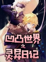 最新域名永久 在线